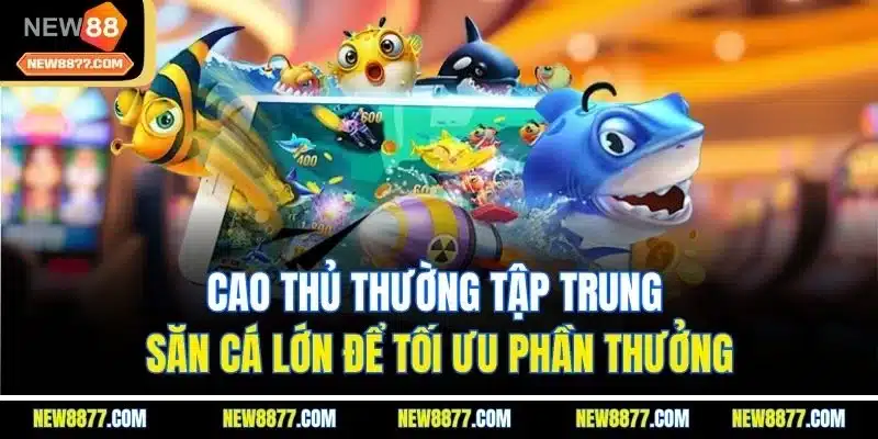 Bắn Cá H5 | Trải Nghiệm Săn Cá Cực Đã Với Giao Diện Sống Động 5 Cao thủ thường tập trung săn cá lớn để tối ưu phần thưởng
