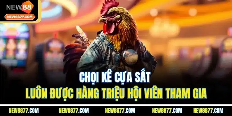 Đá Gà New88 | Sảnh Chơi Live Chọi Kê Online Hấp Dẫn 2025 3 Chọi kê cựa sắt luôn được hàng triệu hội viên tham gia