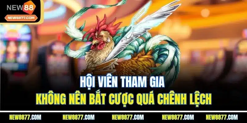 Đá Gà New88 | Sảnh Chơi Live Chọi Kê Online Hấp Dẫn 2025 5 Hội viên tham gia không nên bắt cược quá chênh lệch