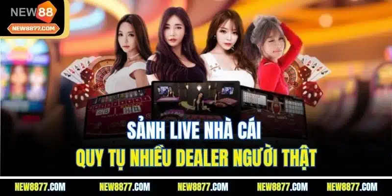 Casino New88 | Sảnh Cược Live Giải Trí Hấp Dẫn Nhất 2025 2 Sảnh live nhà cái quy tụ nhiều Dealer người thật