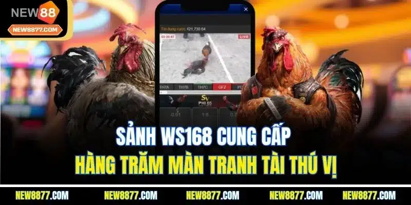 Đá Gà New88 | Sảnh Chơi Live Chọi Kê Online Hấp Dẫn 2025 4 Sảnh WS168 cung cấp hàng trăm màn tranh tài thú vị