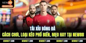 Tài Xỉu Bóng Đá | Cách Chơi, Loại Kèo Phổ Biến, Mẹo Hay Tại New88