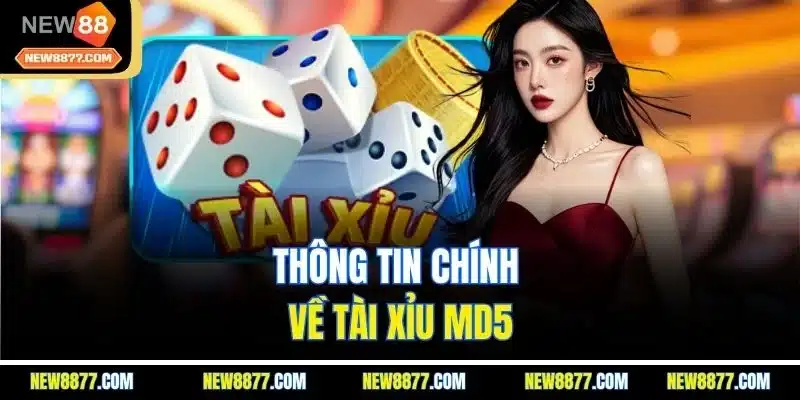 MD5 Tài Xỉu - Game Đổi Thưởng Xanh Chín Cực Hot 2025 2 Thông tin chính về tài xỉu MD5